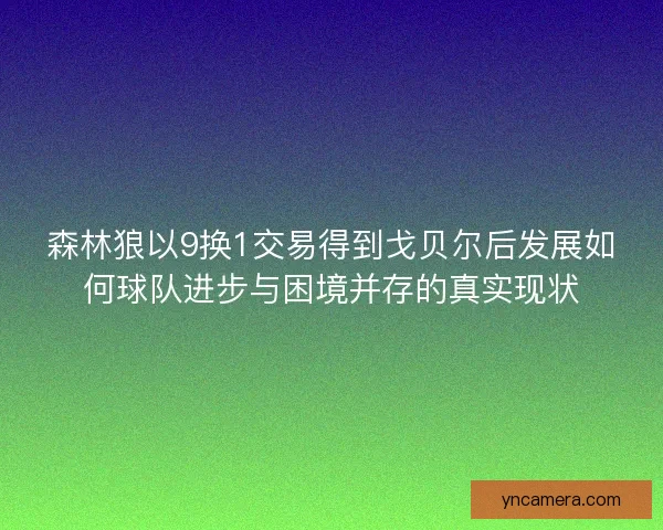 森林狼以9换1交易得到戈贝尔后发展如何球队进步与困境并存的真实现状