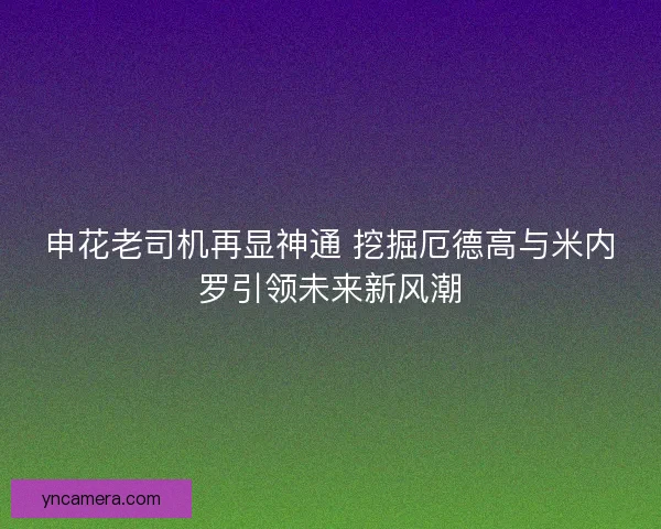 申花老司机再显神通 挖掘厄德高与米内罗引领未来新风潮
