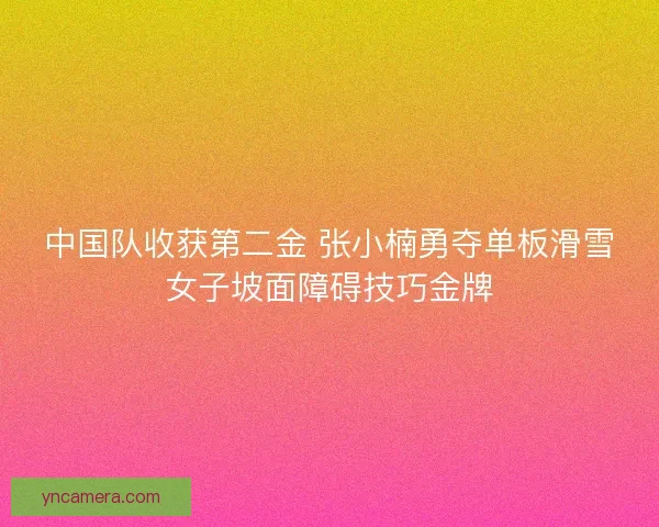 中国队收获第二金 张小楠勇夺单板滑雪女子坡面障碍技巧金牌