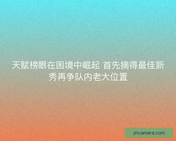 天赋榜眼在困境中崛起 首先摘得最佳新秀再争队内老大位置