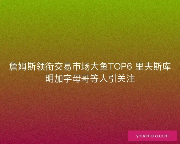 詹姆斯领衔交易市场大鱼TOP6 里夫斯库明加字母哥等人引关注
