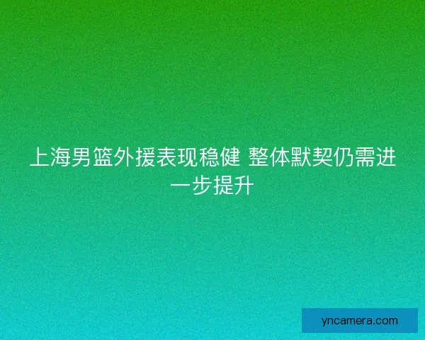 上海男篮外援表现稳健 整体默契仍需进一步提升