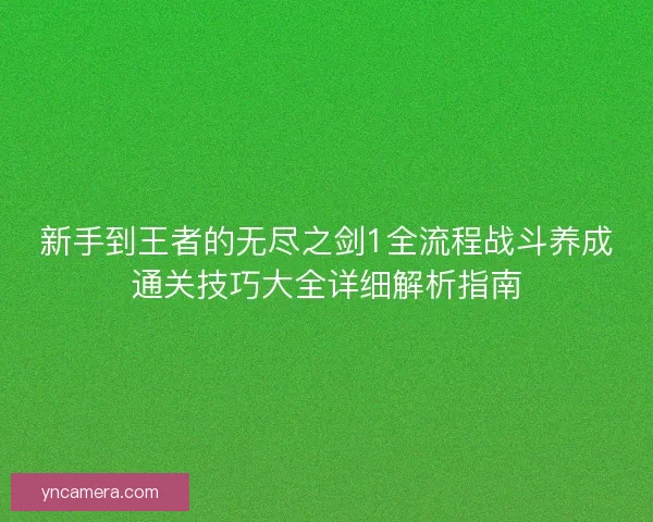 新手到王者的无尽之剑1全流程战斗养成通关技巧大全详细解析指南