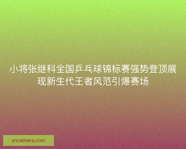 小将张继科全国乒乓球锦标赛强势登顶展现新生代王者风范引爆赛场