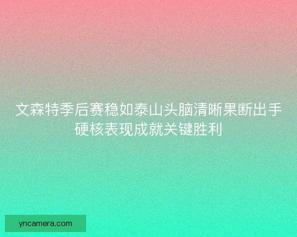 文森特季后赛稳如泰山头脑清晰果断出手硬核表现成就关键胜利